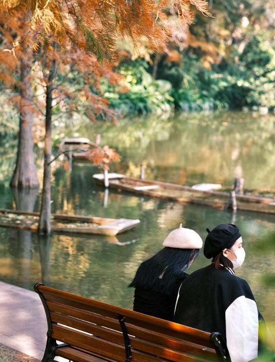 秋意濃厚的仙湖植物園