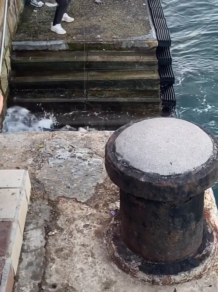 facebook截圖（資料來源：Ken Yu＠facebook筲箕灣西灣河關注組）