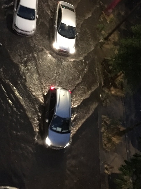 巴黎多處水浸。網上圖片