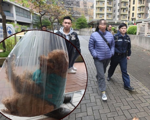 警方拘捕一名女子(紫衣)。梁國峰攝