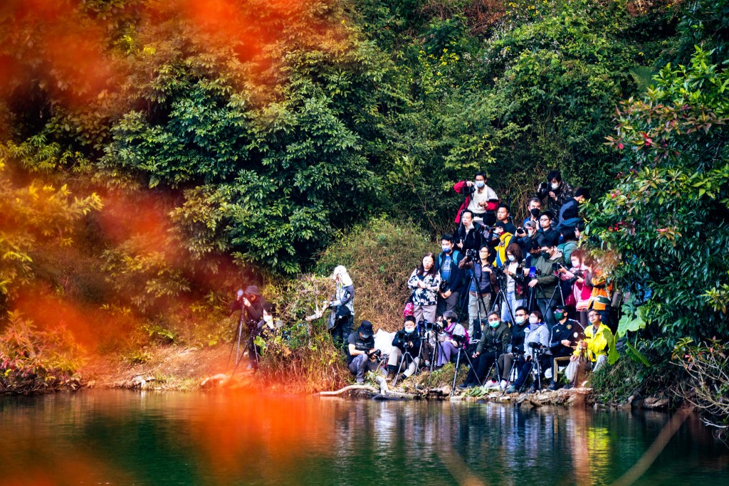 拍友墟冚一幕被拍成风景。图片授权：网友Philip Chan