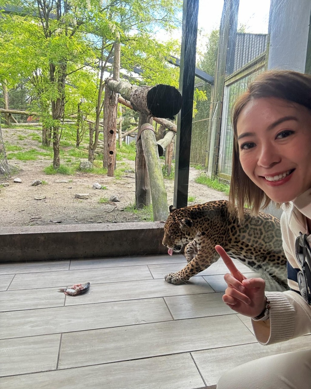 梁芷佩直踩波尔多介绍同捷豹一齐瞓的酒店，推介法国潮什么资讯。