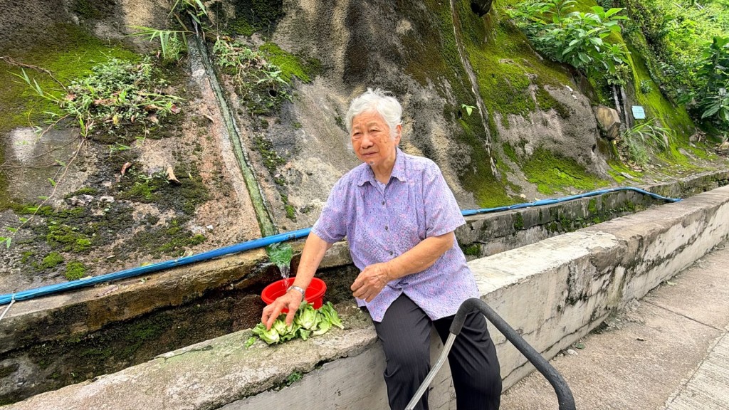 葉婆婆取山邊水洗菜。梁國峰攝 葉婆婆取山邊水洗菜。梁國峰攝