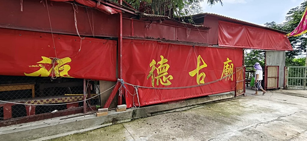 福德古廟對開發現蜥蜴。
