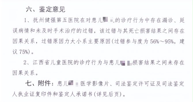 鑒定意見。大風新聞 鑒定意見。大風新聞