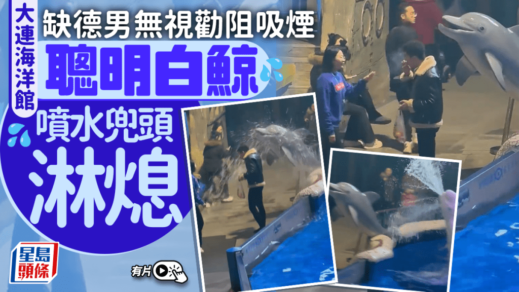 網傳影片見白鯨噴水澆熄男子口中的香煙。