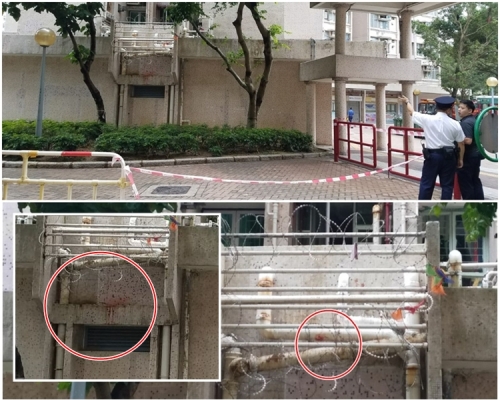 兩紅圈內均為血跡。