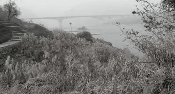 4人在西山偏僻處殺害一對遊玩的男女。(網易新聞) 4人在西山偏僻處殺害一對遊玩的男女。(網易新聞)