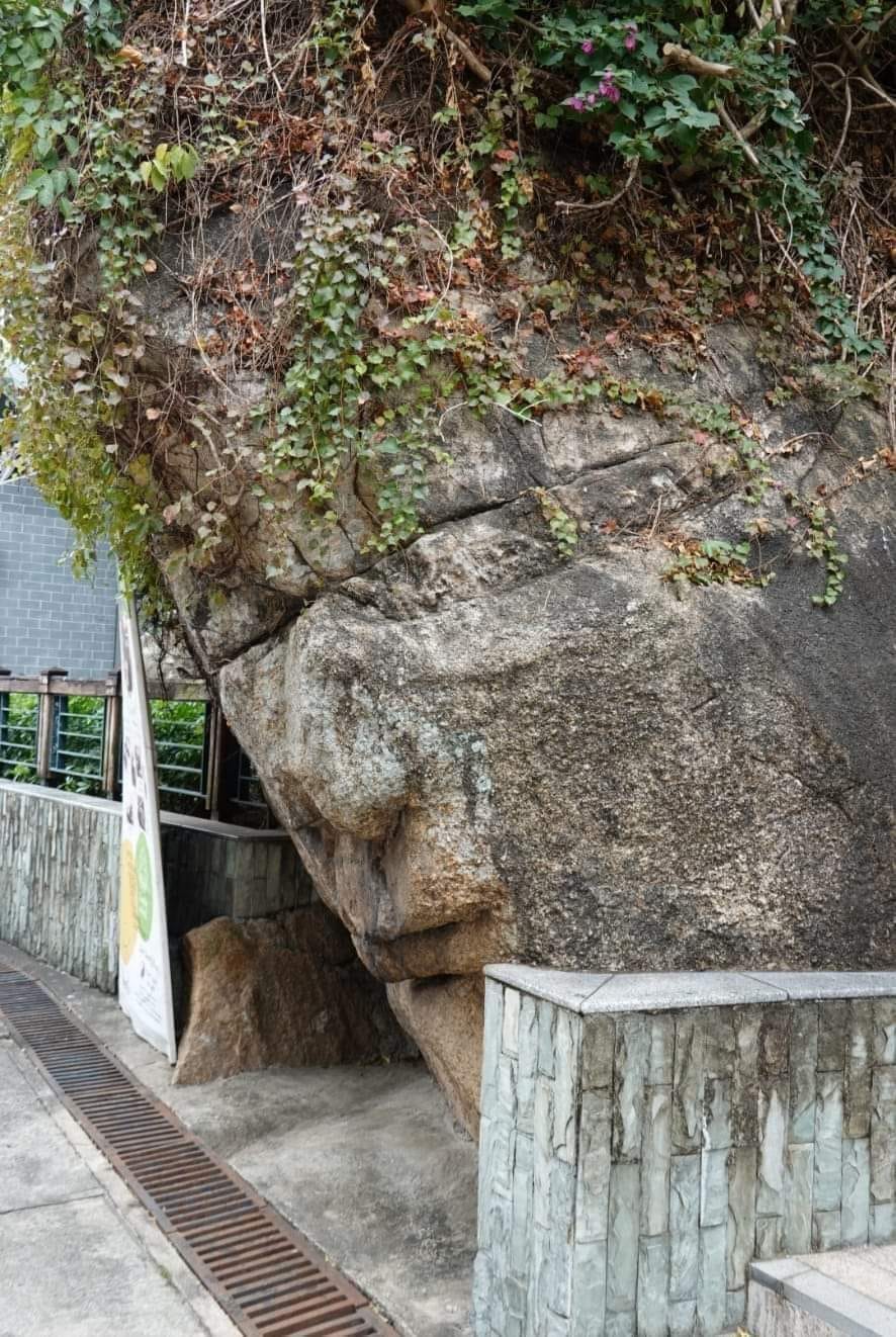 长洲人头石。fb“香港初级行山群组”截图