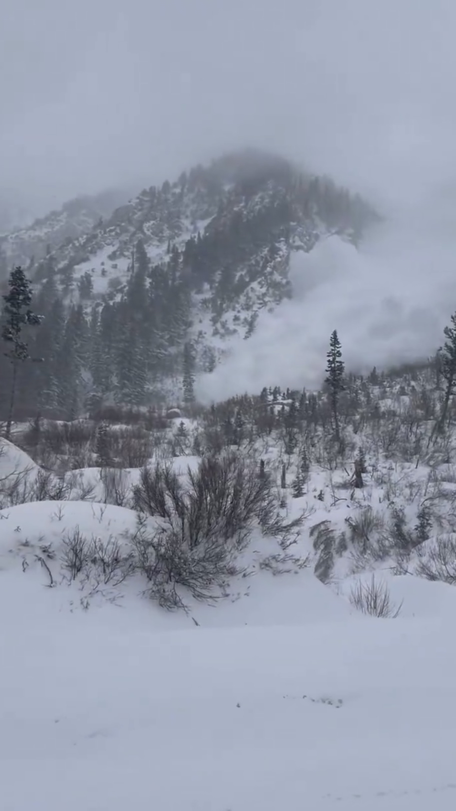 大量白雪順着山坡快速向下滑動。 X