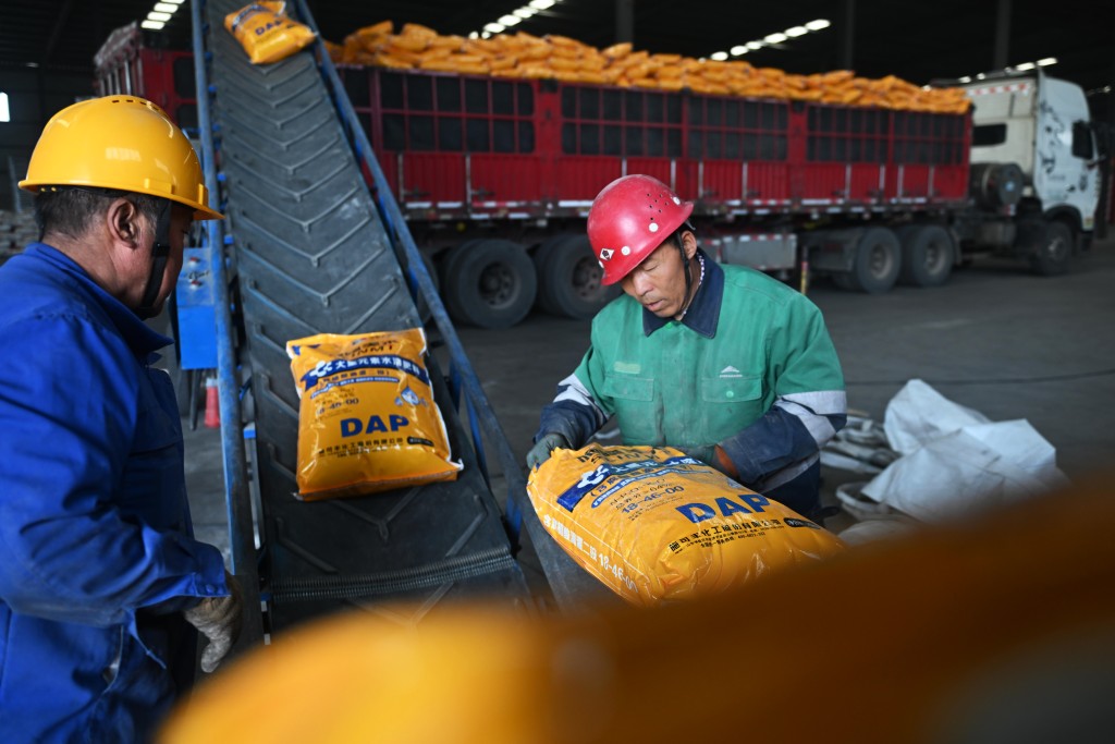 甘肅省金昌市永昌工業園區工作人員轉運化肥。中新社