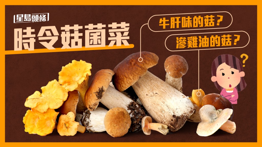 時令菇菌｜菇季開鑼 以假亂真 吃菇都有牛肝及雞油味 