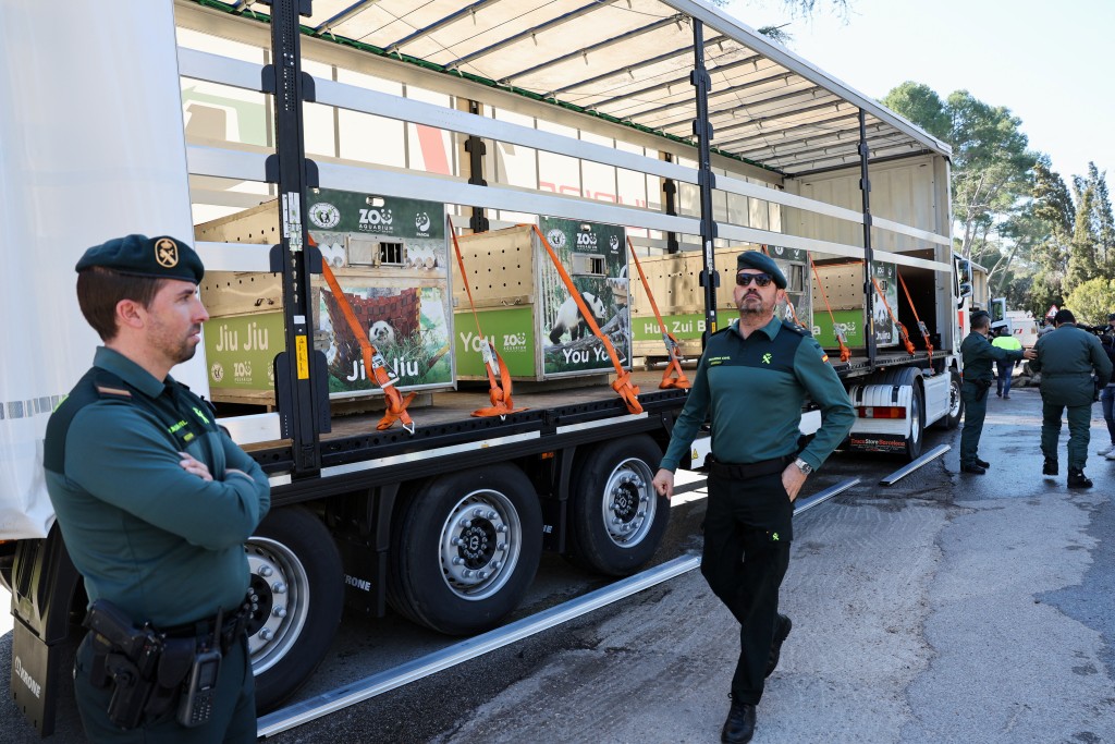 運送大熊貓的貨車由警察開路前往機場。 路透社