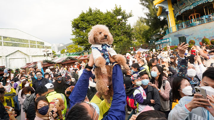 今次活動創下「最多人同時擁抱狗狗」（共312名狗主）的世界紀錄。