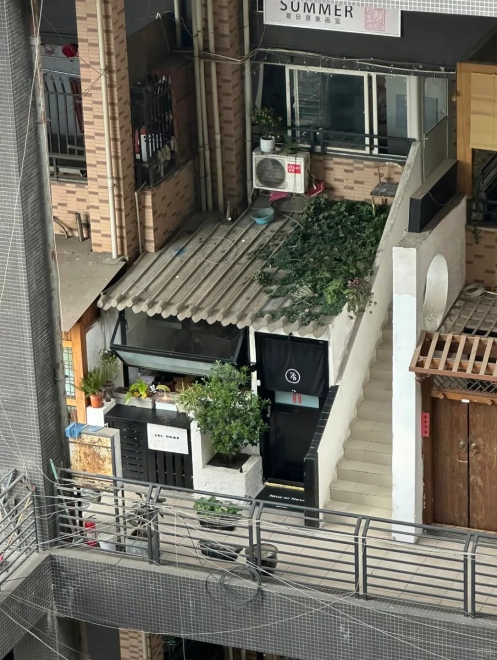 成都住宅因造型獨特爆紅。小紅書@攀登.老趙