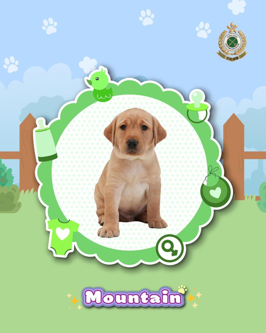 小狗命名為Mountain 。海關FB圖片 小狗命名為Mountain 。海關FB圖片