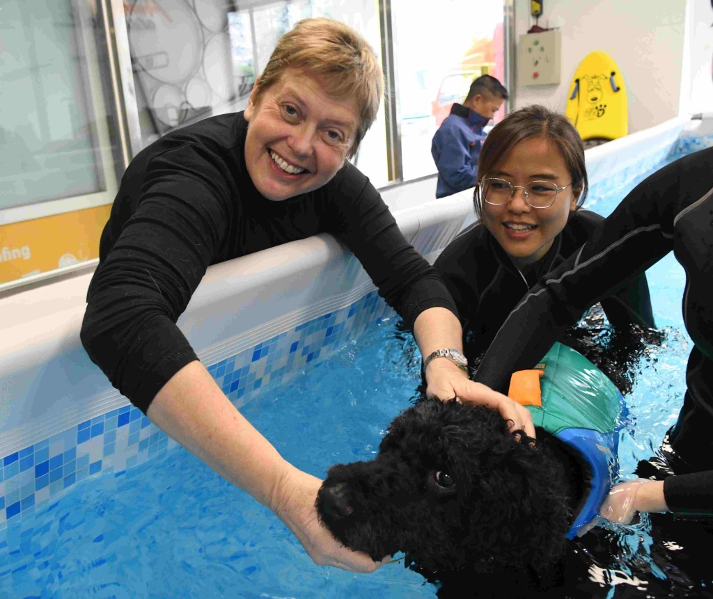 有21年寵物水療復康經驗的AngelaGriffiths（左），向Amiko Aquawalk犬隻水療師傳授寶貴經驗。