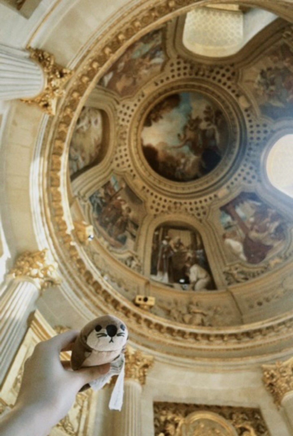 事主會帶糰糰到訪不同地方旅遊。（mysisntuentuen@Threads）