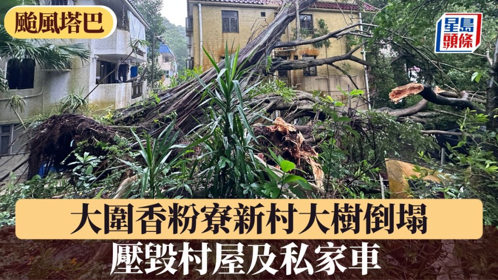 颱風塔巴︱大圍香粉寮新村大樹倒塌 壓毀村屋及私家車