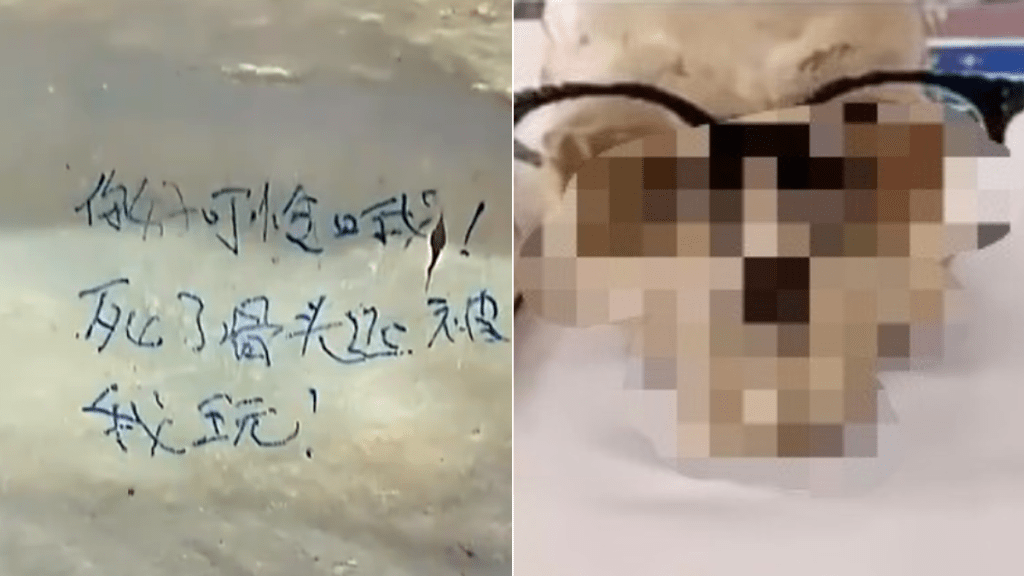 內地竟有醫科生在大體老師標本上寫「死了還要被我玩」。微博