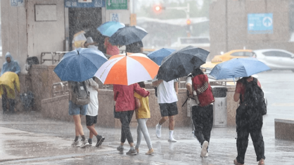 台灣大部分縣市今天正常上班、正常上課。網上圖片