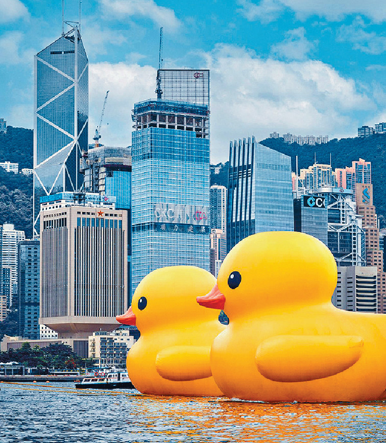 ■2隻黃鴨今日起在金鐘添馬公園對開的維港海面，展出約兩周。