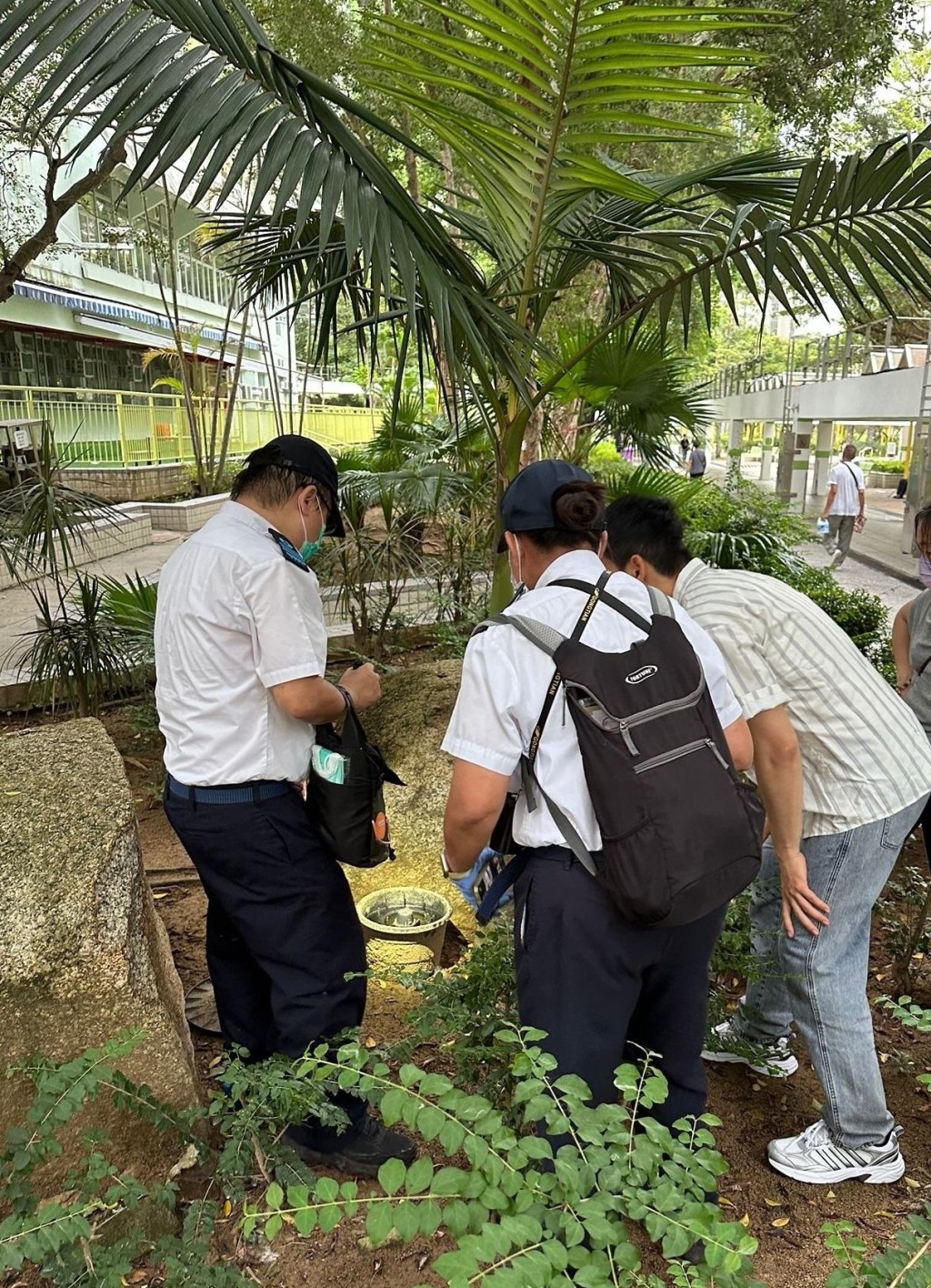 食环署人员巡视沙田区大围一公共屋邨，检查新型捕蚊器，并向物业管理人员提供防蚊控蚊建议和技术支援。。政府新闻处
