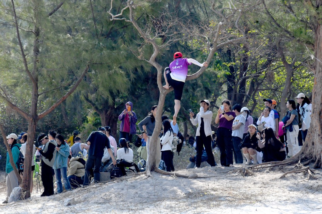 不少遊客花式爬樹。