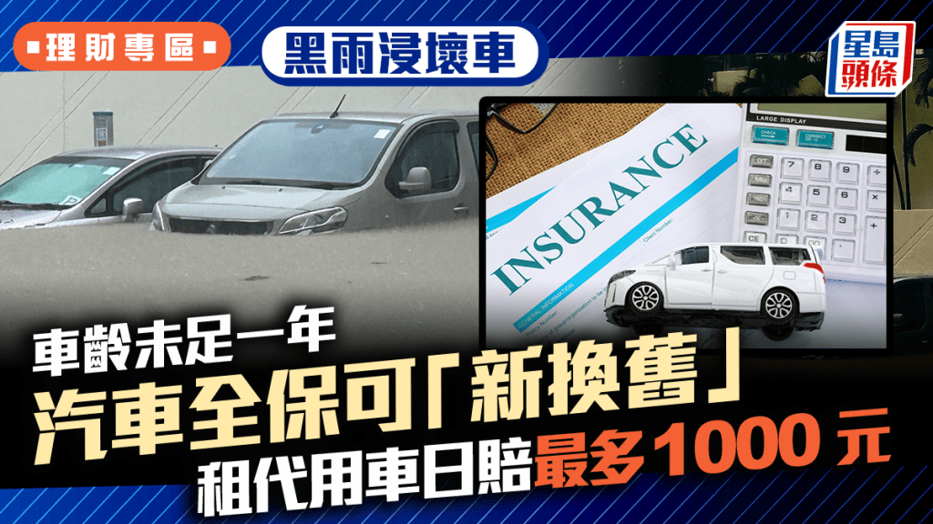黑雨浸壞車 車齡未足一年 汽車全保可「新換舊」 租代用車日賠最多1000元