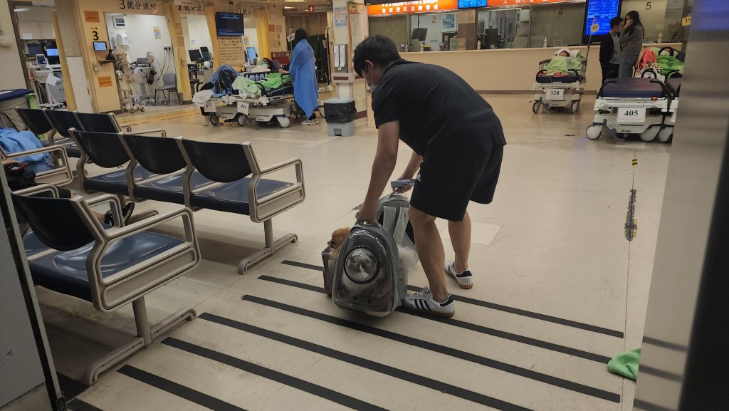 火場中1隻貓及1隻狗獲救。