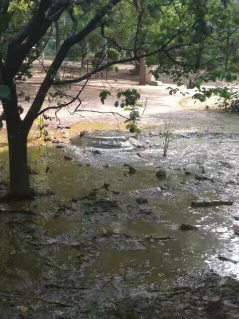 濟南大學宿舍化糞池突然爆發。網上圖片