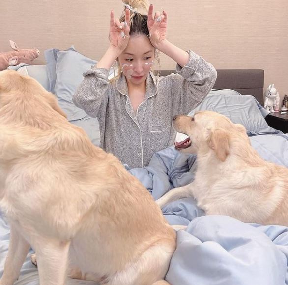 有指兩人上月初因愛犬而復合。