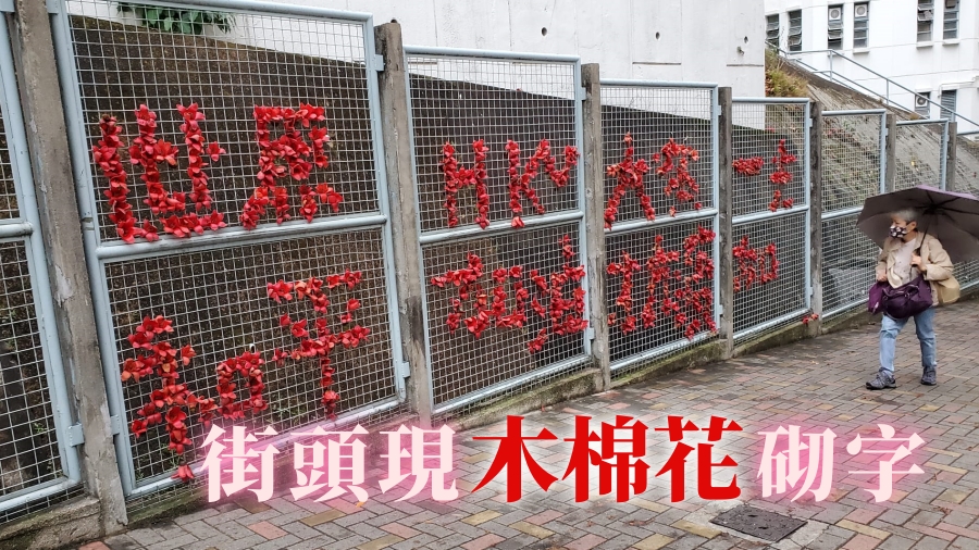 有人將地上的木棉花，砌成圖案。