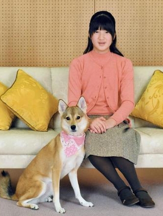 2013年11月