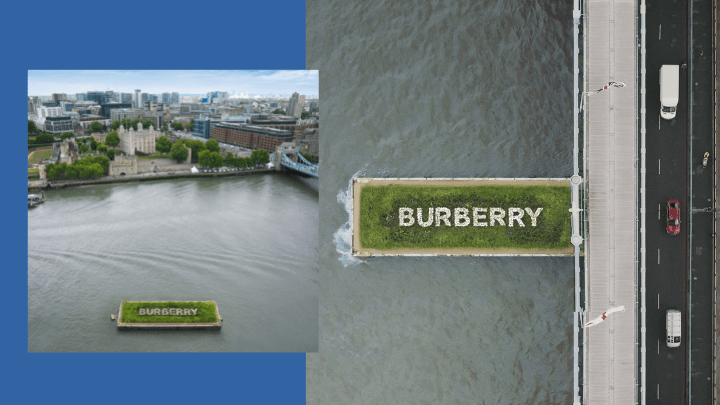 这片草甸也强调草地和沼泽在储存碳方面扮演的角色，以及会开花的植物所担任提供授粉者、为河岸野生动物提供食物和花蜜的角色。