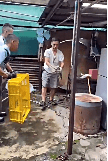 蛇王手到拿來。