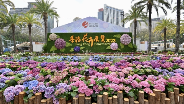 藝術三月2024｜香港花卉展覽2024（圖為2023年香港花卉展覽）