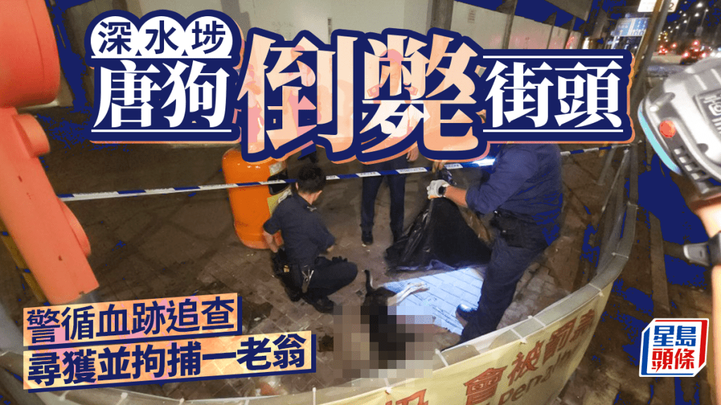 深水埗唐狗倒斃街頭 警沿血跡尋狗主 老翁涉虐待動物被捕