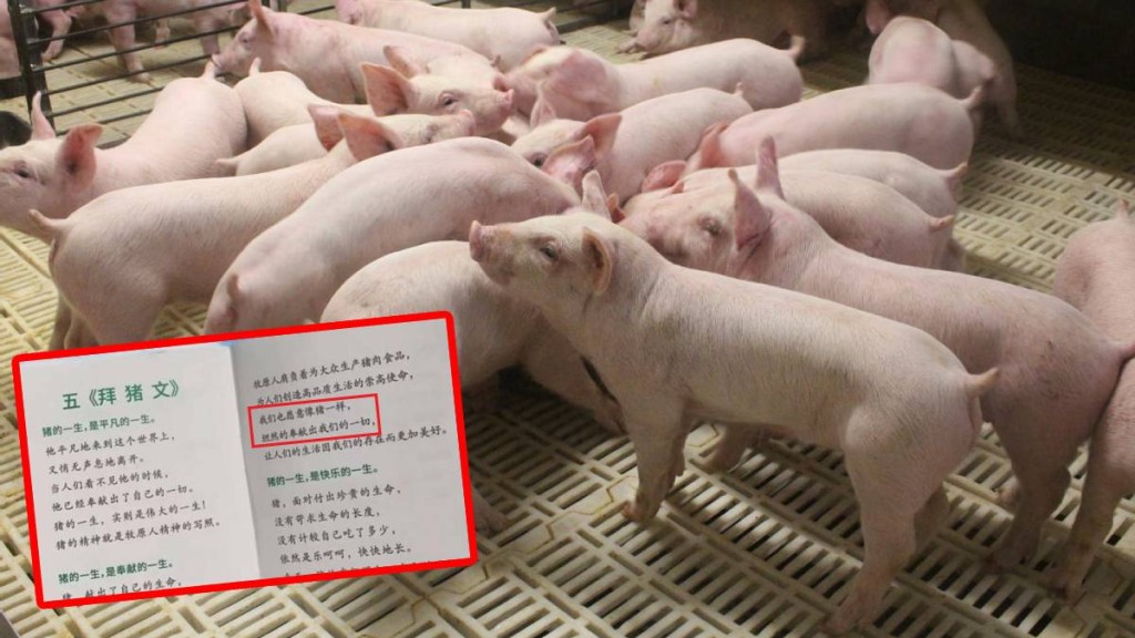 牧原的員工培訓出現要「像豬一樣奉獻」  網民質疑公然PUA員工。牧原官網