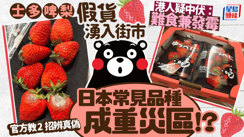 假日本士多啤梨貨湧入街市！港人疑中伏：難食兼發霉 官方急發文教2招辨真偽