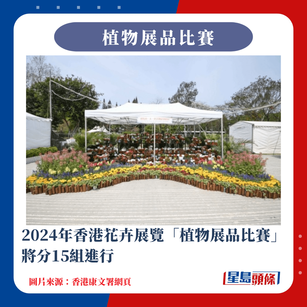 2024年香港花卉展览「植物展品比赛」将分15组进行