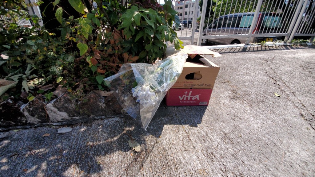 距进凶案单位约50米外，有人在树下摆放一个纸箱，箱内放有一束鲜花，悼念女死者蔡天凤的不幸离世。(杨伟亨摄)