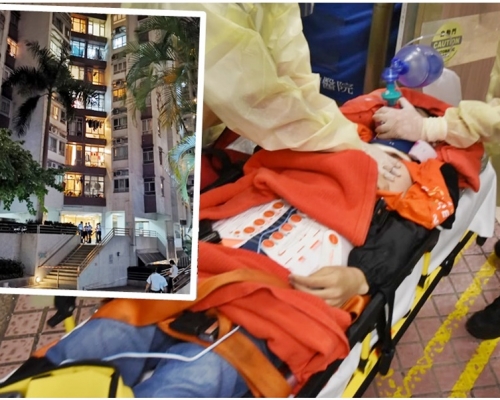 少年昏迷被送往伊利沙伯醫院，其後被證實死亡。