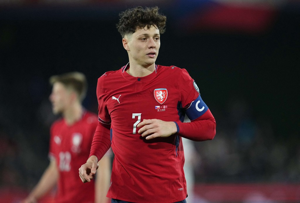 捷克中坚卡列锡。法新社