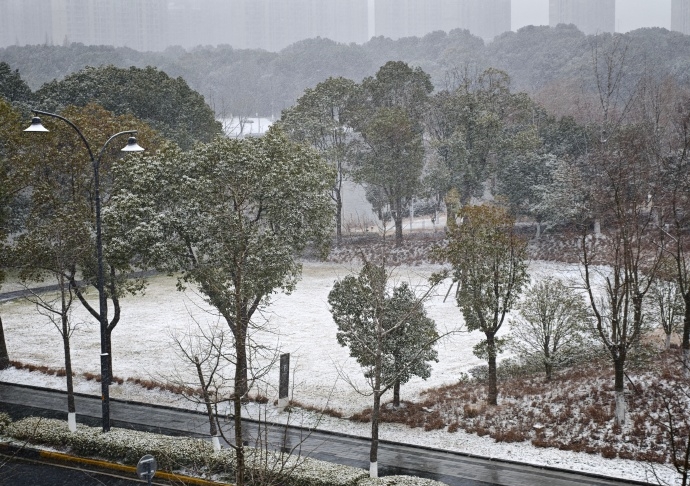 上海20日開始出現降雪天氣，更罕見地出現積雪。 微博@曾子言