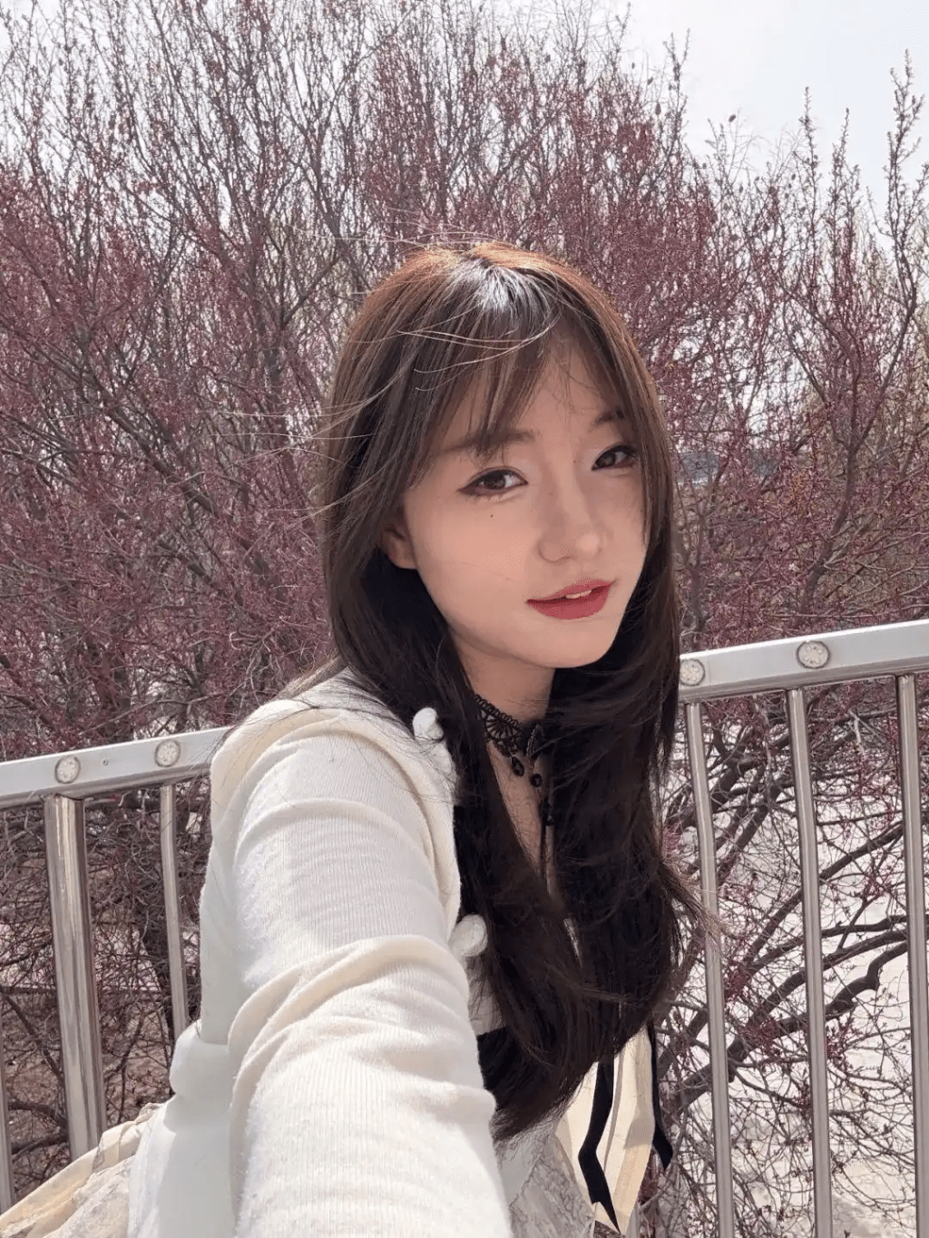 車禍前的白女士。 車禍前的白女士。