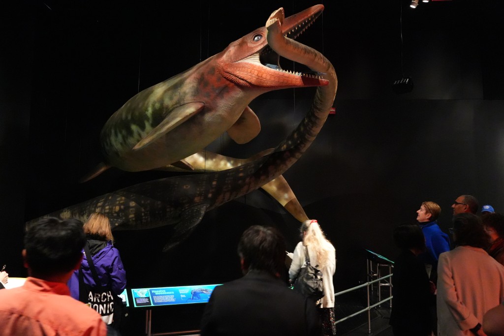紐約的美國自然歷史博物館舉行《撞擊:恐龍時代的終結》特展媒體預展。中新社 紐約的美國自然歷史博物館舉行《撞擊:恐龍時代的終結》特展媒體預展。中新社