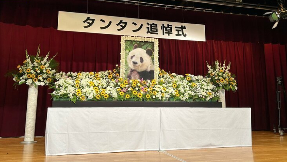日本为旅日大熊猫“旦旦”举行追悼会。 央视截图