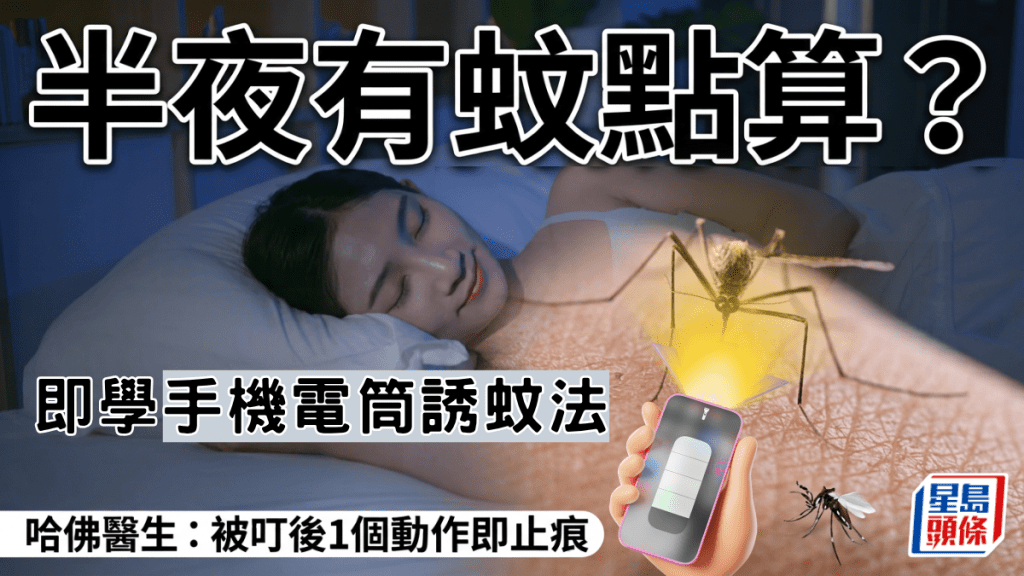 半夜有蚊點算？即學「手機電筒誘蚊法」哈佛醫生：被叮後1個動作即止痕