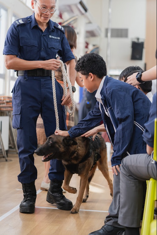 學生在警員的指導下,學習如何與警犬互動。 學生在警員的指導下,學習如何與警犬互動。